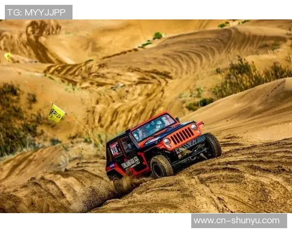 火箭飘红，开始复苏：引领未来科技的新浪潮